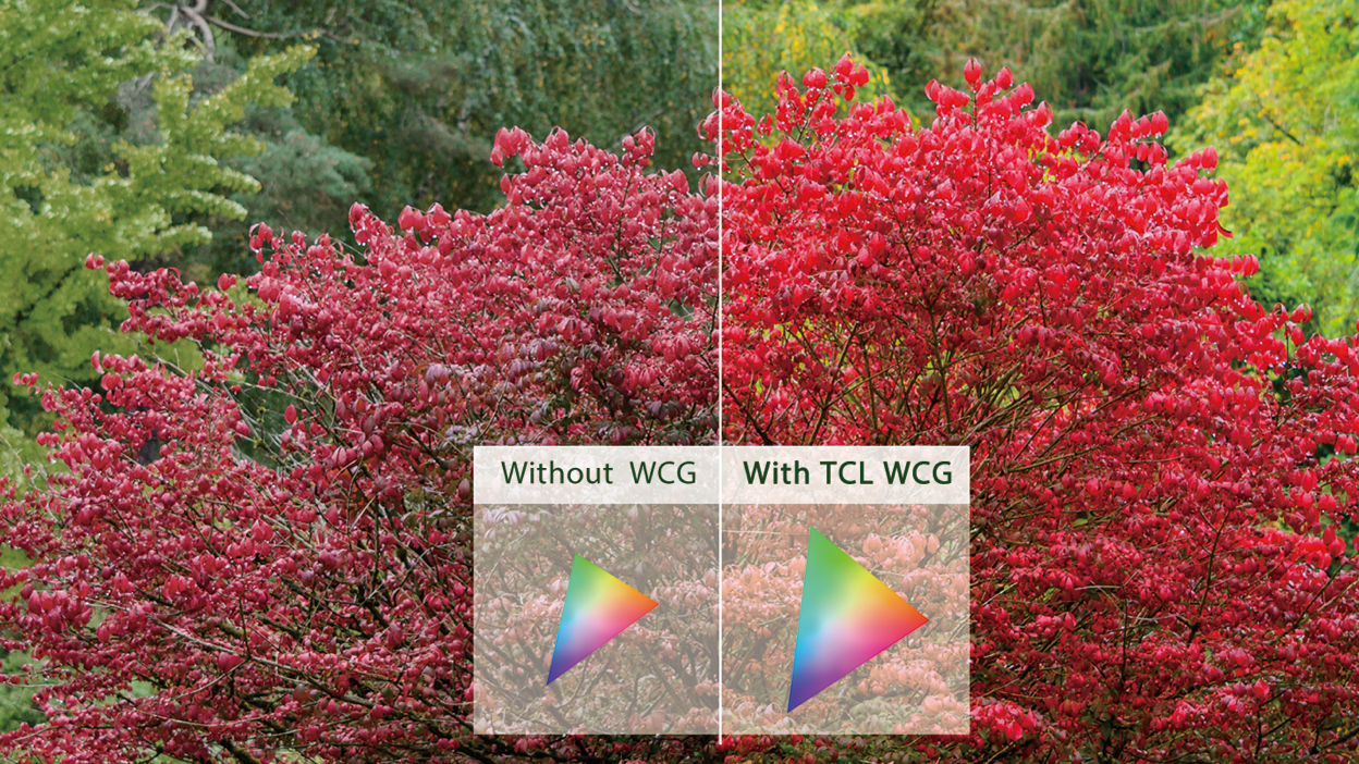 WCG