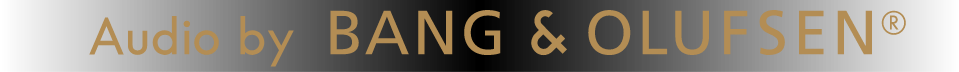 Audio by BANG & OLUFSEN?